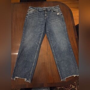 American Eagle Outfitters Curvy Straight Denim